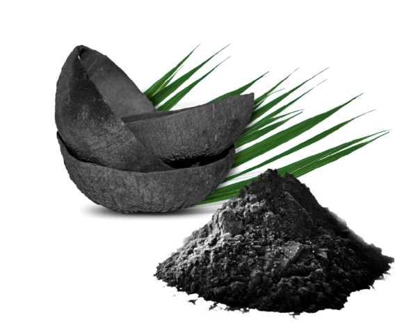 Earthy Activated Charcoal 100g