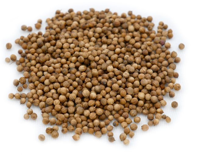 Earthy Coriander Seeds 100GM