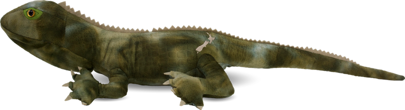 Soft Toy - Trevor the Tuatara