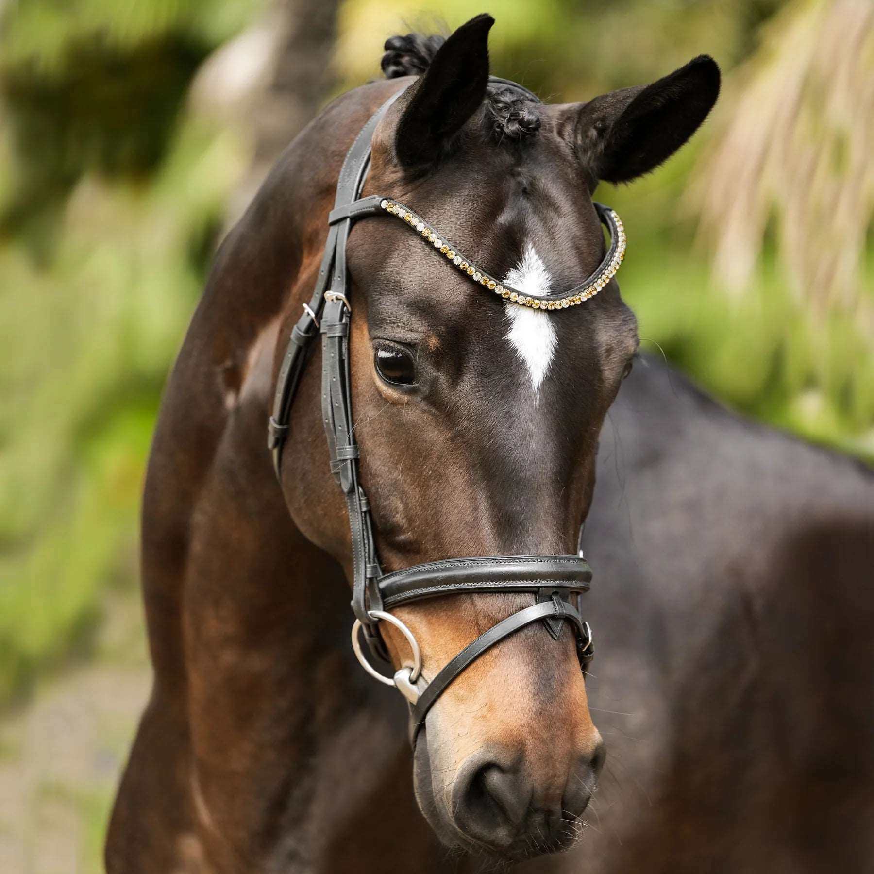 Lumiere Bridle Crystal Browband Black Cob