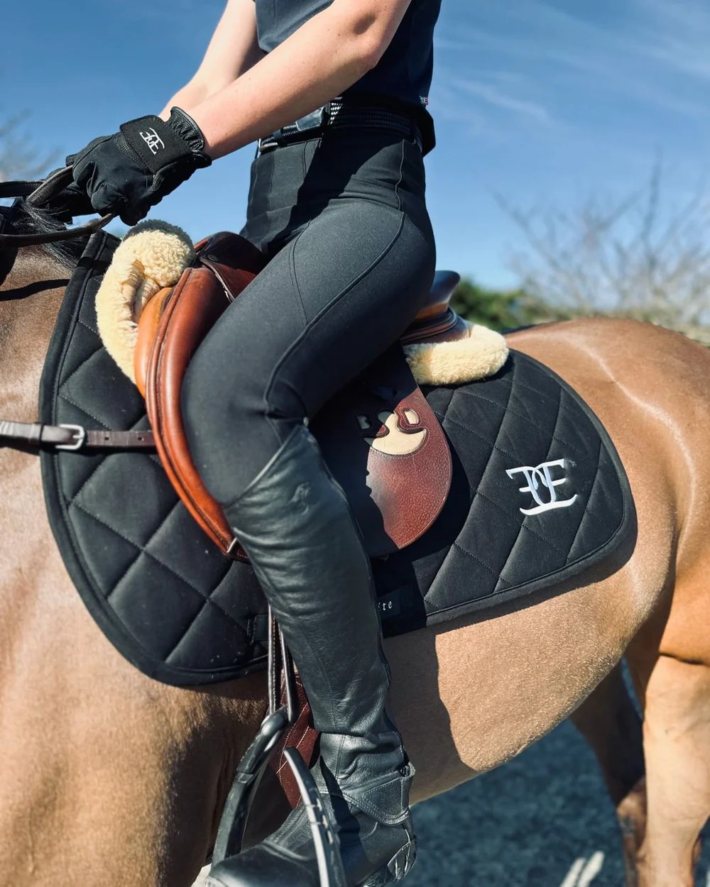 Equus Elite Performance Tight Ladies Black - Size M