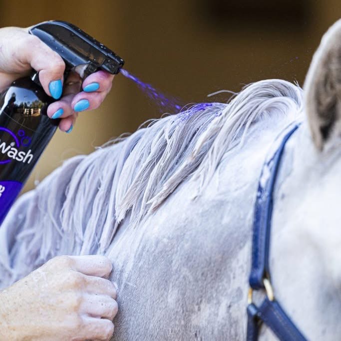 NTR Eziwash Purple Haze Shampoo 500ml