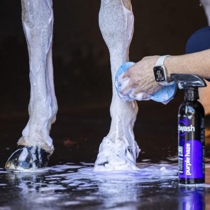 NTR Eziwash Purple Haze Shampoo 500ml