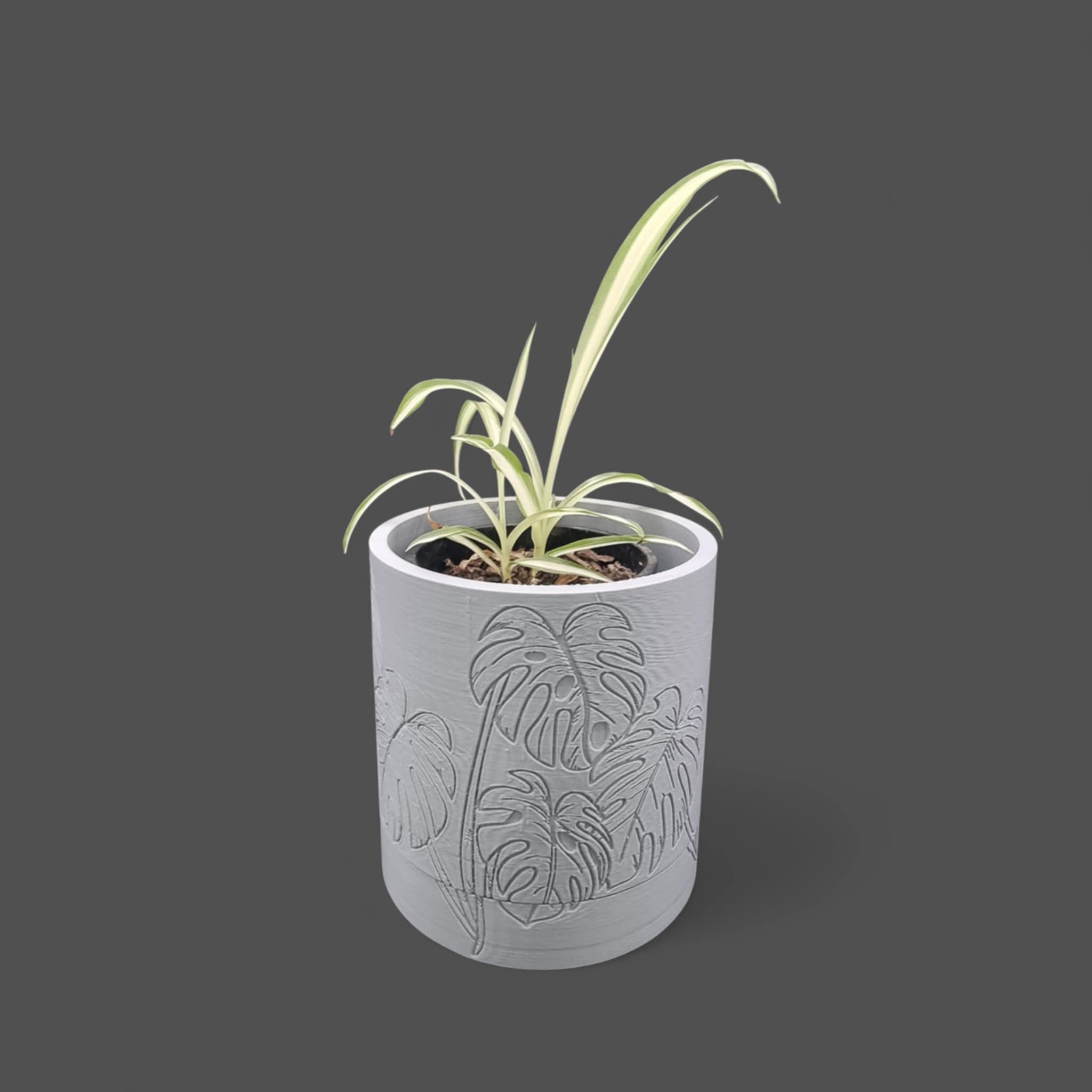 Monstera Planter with detachable drip tray, Small