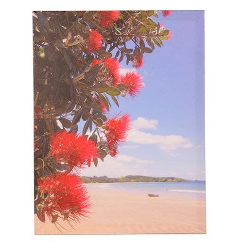 HH0365 Pohutukawa beach canvas