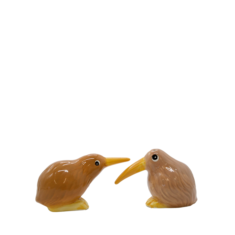 Kitschy Kiwi salt + pepper shaker