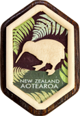 Magnet - Wooden Kiwi