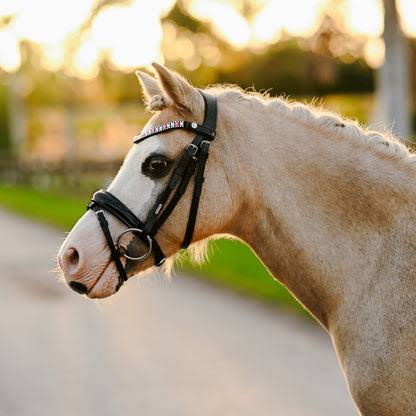 Lumiere Lumi Unicorn Bridle Pony Black